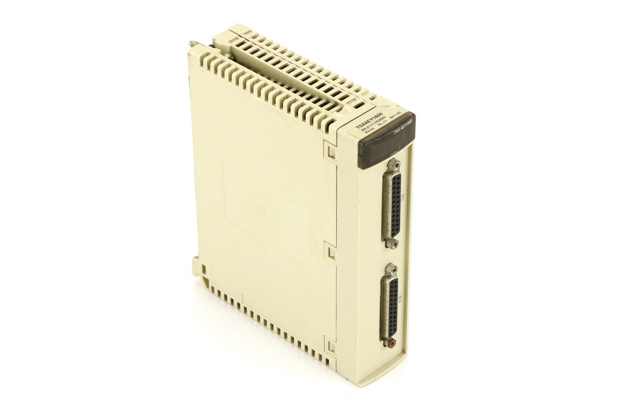 Schneider Electric TSXAEY1600 16-Channel High-Level Analog Input Module for Modicon Premium